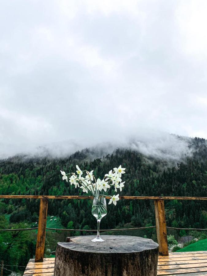Mitarbi Silence - Cozy Holiday Cottages In Mountains ボルジョミ エクステリア 写真