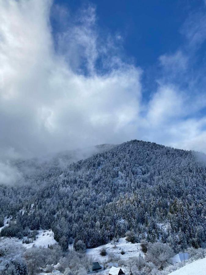 Mitarbi Silence - Cozy Holiday Cottages In Mountains ボルジョミ エクステリア 写真