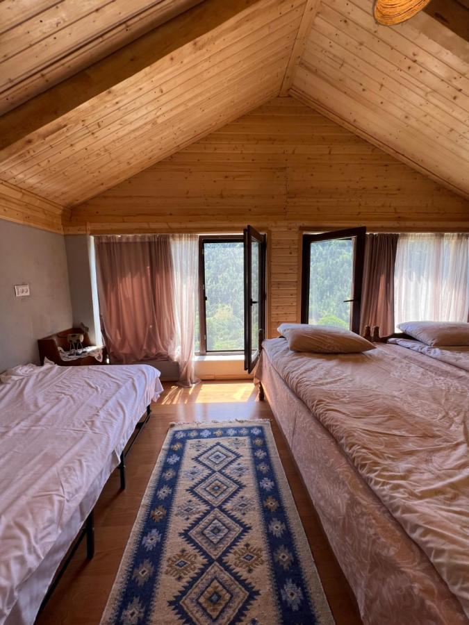 Mitarbi Silence - Cozy Holiday Cottages In Mountains ボルジョミ エクステリア 写真