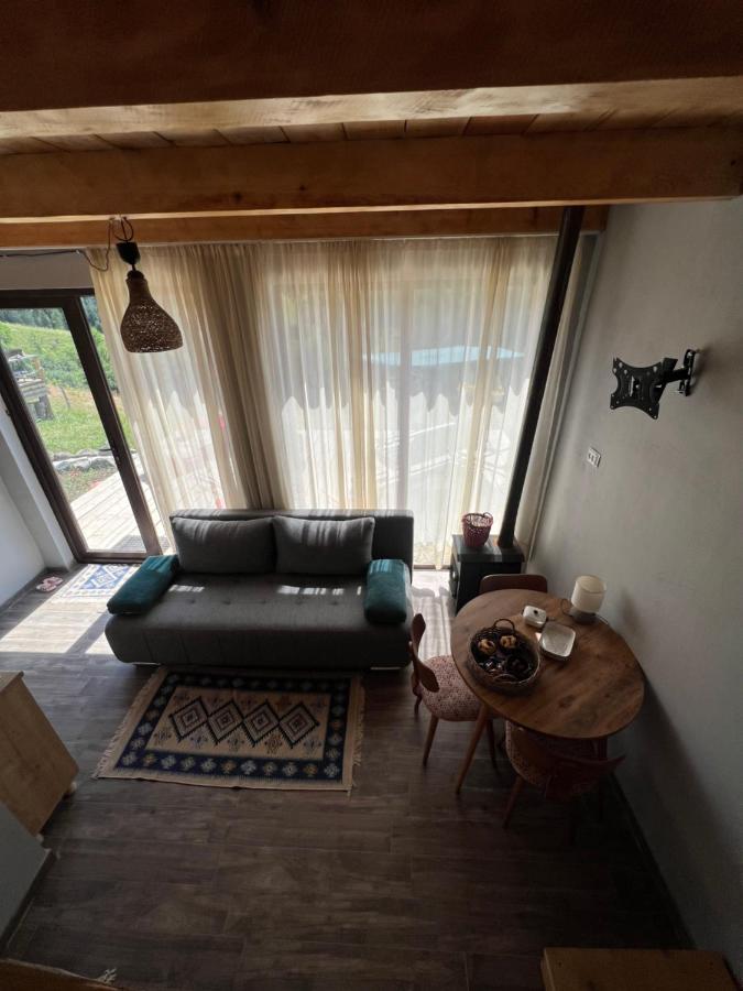 Mitarbi Silence - Cozy Holiday Cottages In Mountains ボルジョミ エクステリア 写真