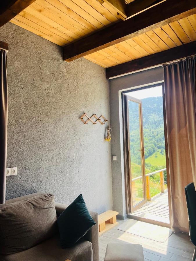 Mitarbi Silence - Cozy Holiday Cottages In Mountains ボルジョミ エクステリア 写真