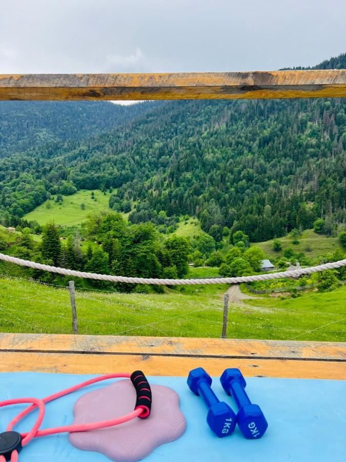 Mitarbi Silence - Cozy Holiday Cottages In Mountains ボルジョミ エクステリア 写真