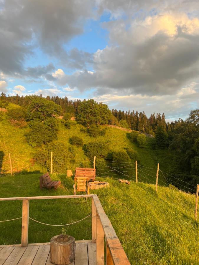 Mitarbi Silence - Cozy Holiday Cottages In Mountains ボルジョミ エクステリア 写真